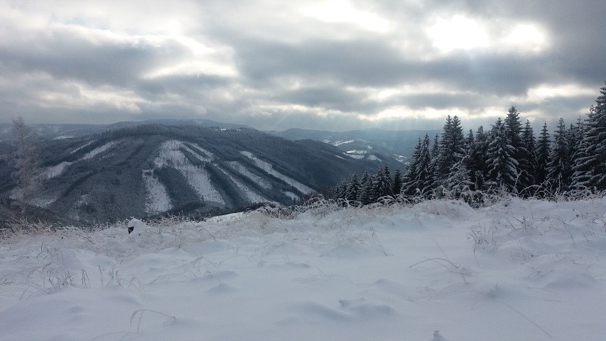 img00021.jpg