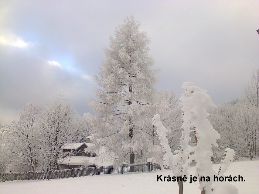 img00025.jpg