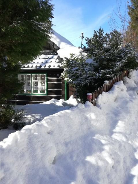 img00006.jpg