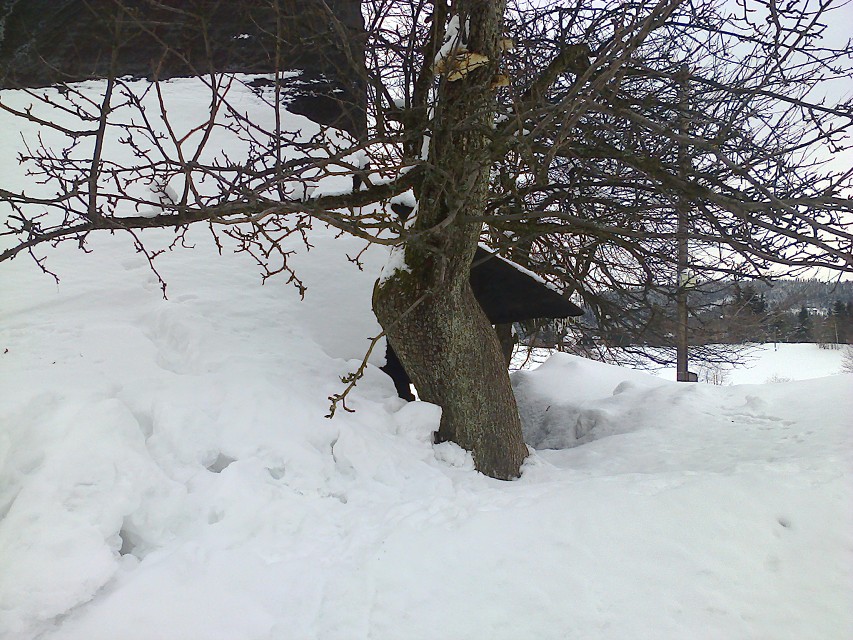 img00007.jpg