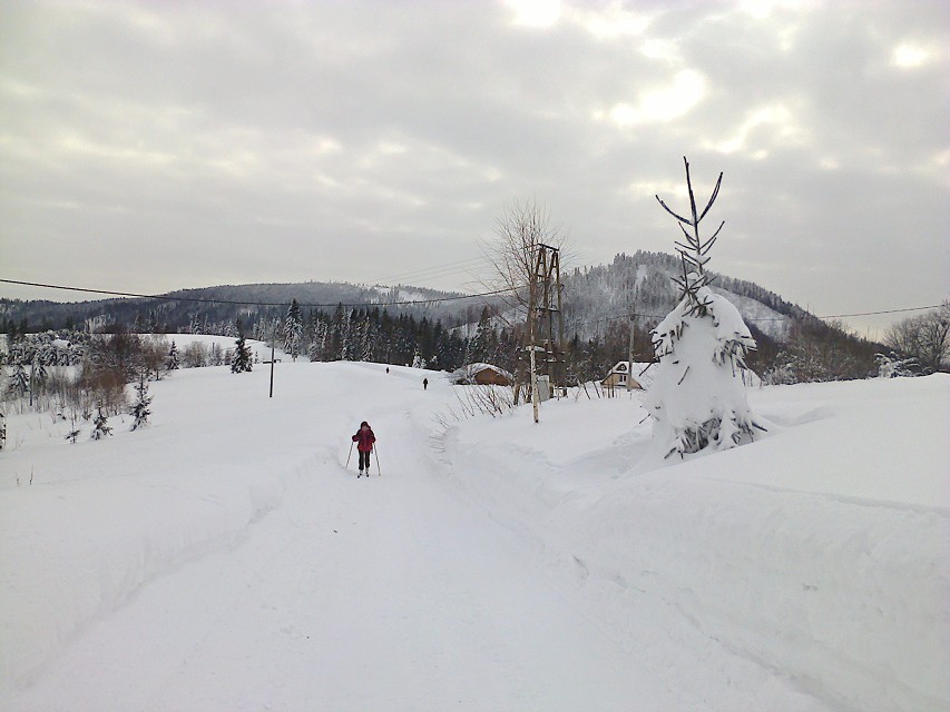 img00010.jpg
