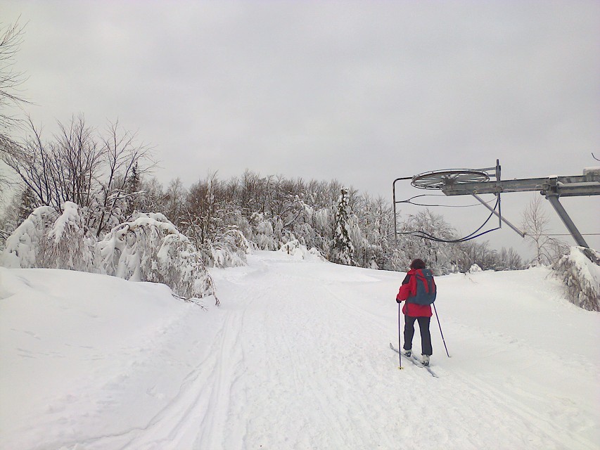 img00011.jpg