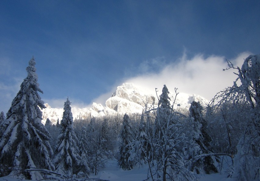 img00003.jpg