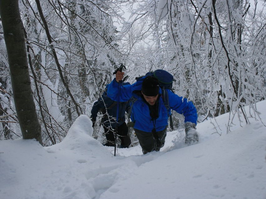 img00007.jpg