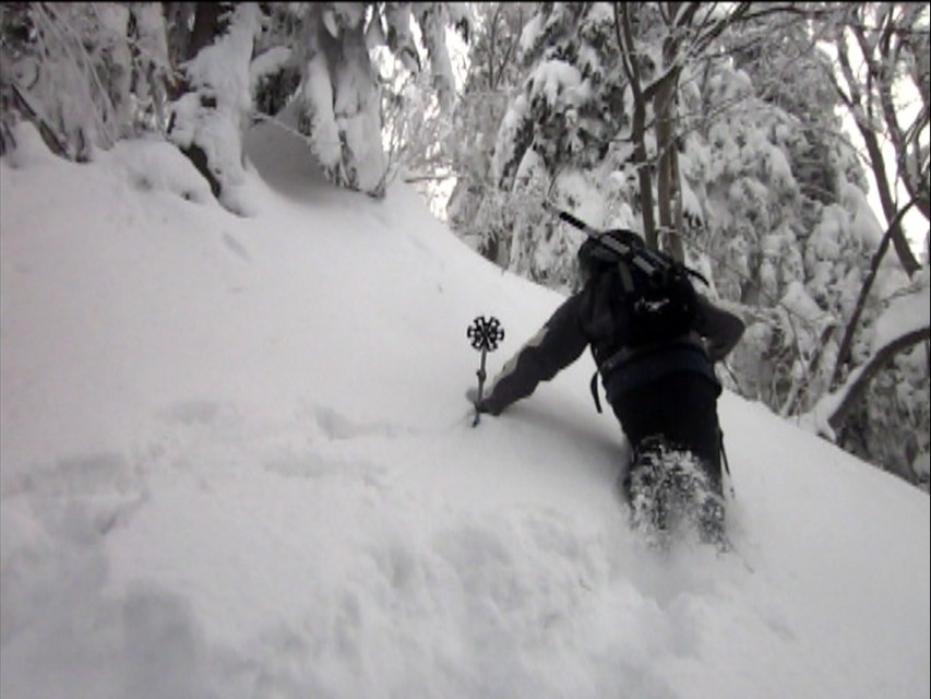 img00008.jpg