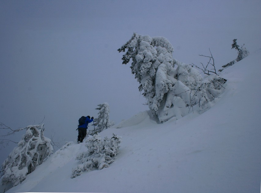 img00009.jpg