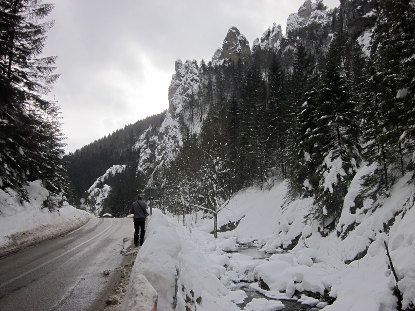 img00016.jpg