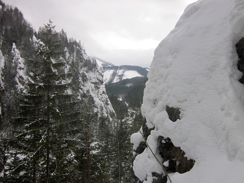 img00017.jpg