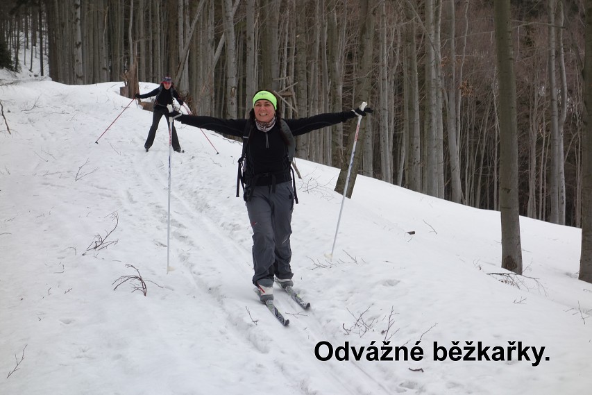 img00006.jpg