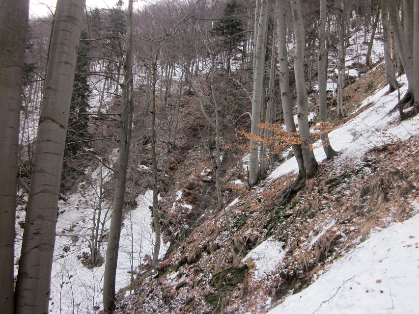img00003.jpg