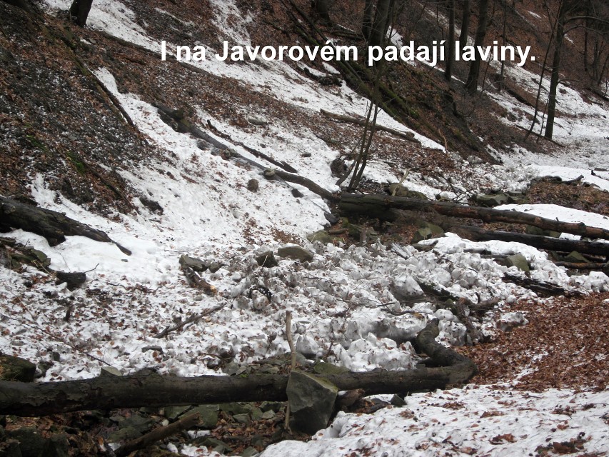 img00008.jpg