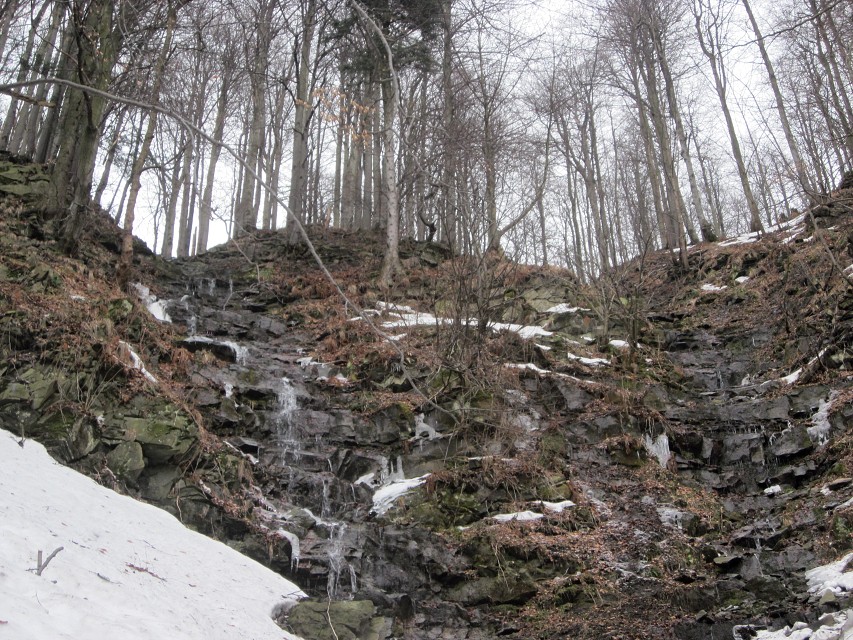 img00010.jpg