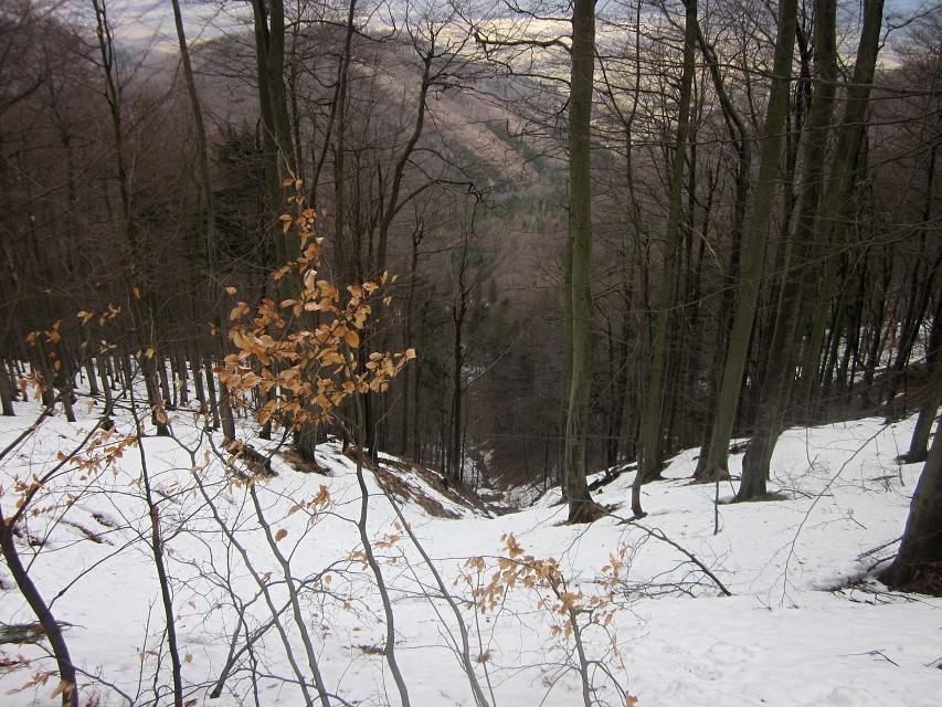 img00013.jpg