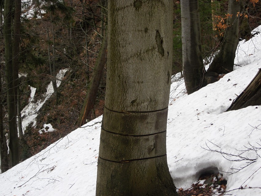 img00014.jpg