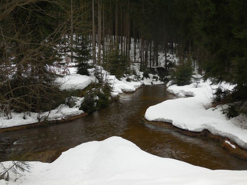 img00016.jpg