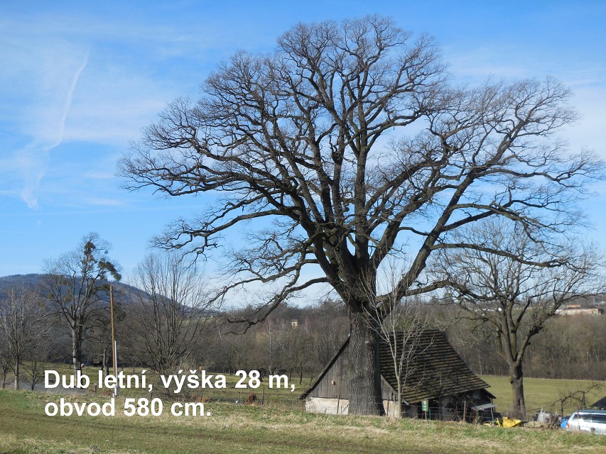 img00002.jpg