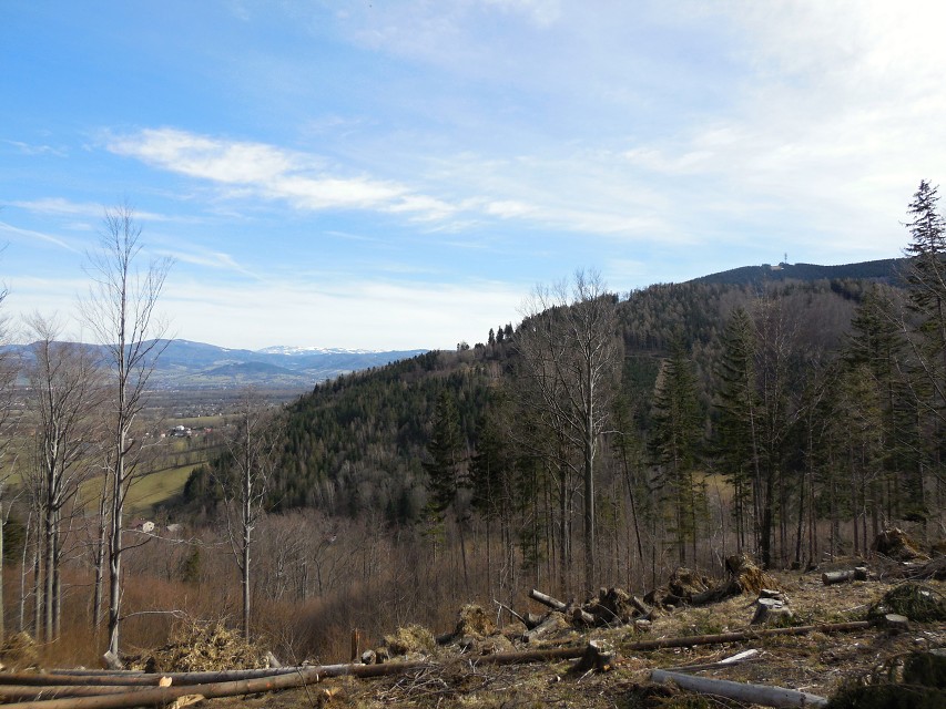 img00019.jpg