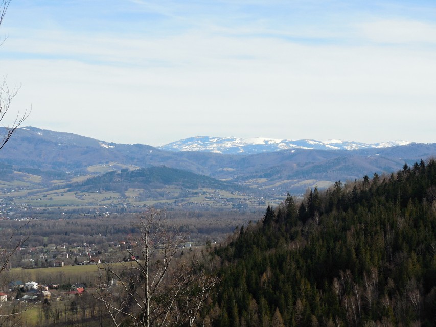 img00020.jpg