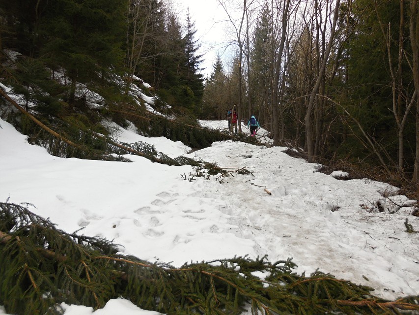 img00025.jpg
