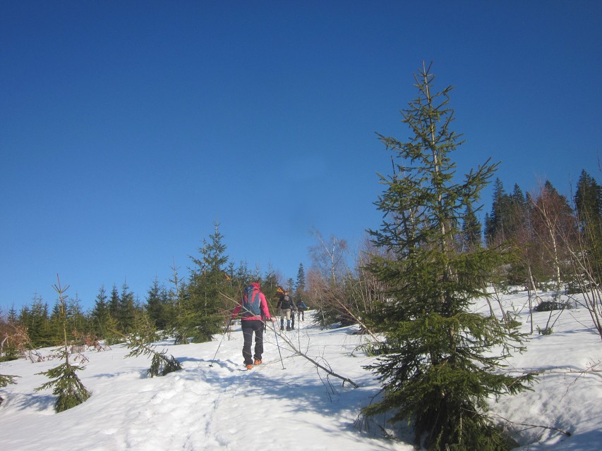 img00010.jpg