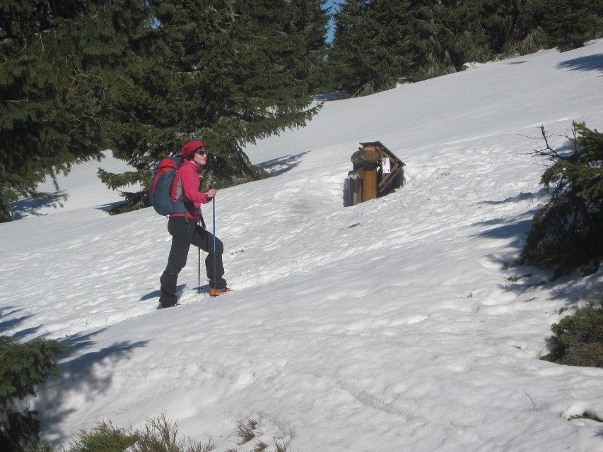 img00012.jpg