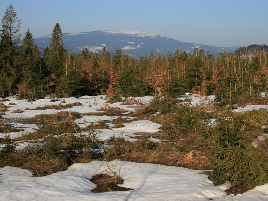 img00013.jpg