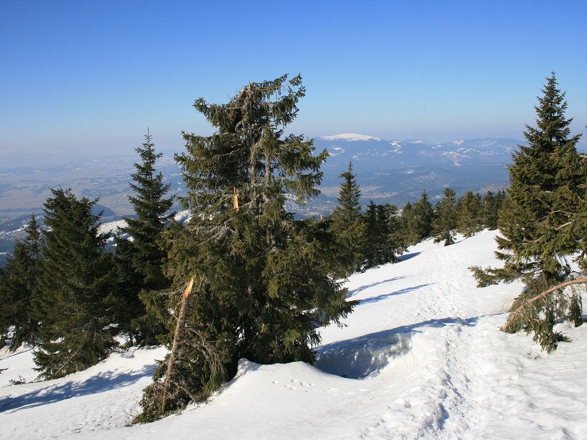 img00014.jpg
