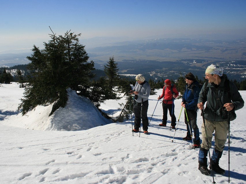 img00017.jpg