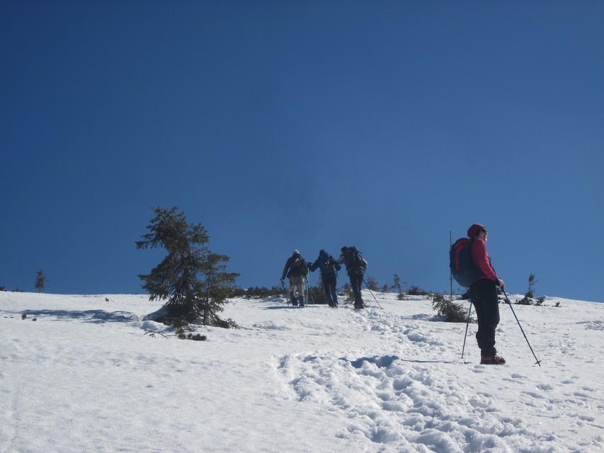 img00019.jpg