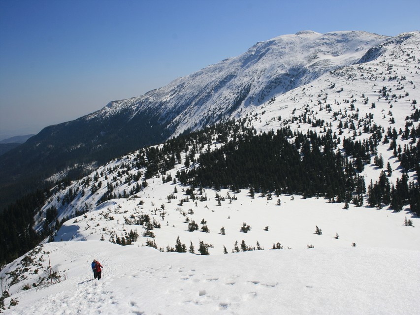img00035.jpg