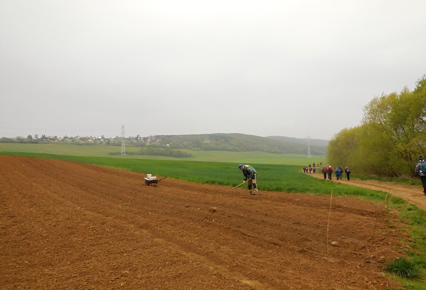 img00005.jpg