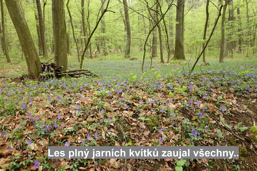 img00010.jpg