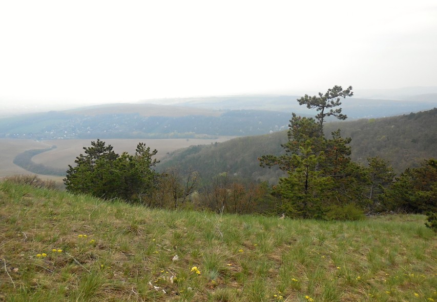 img00020.jpg