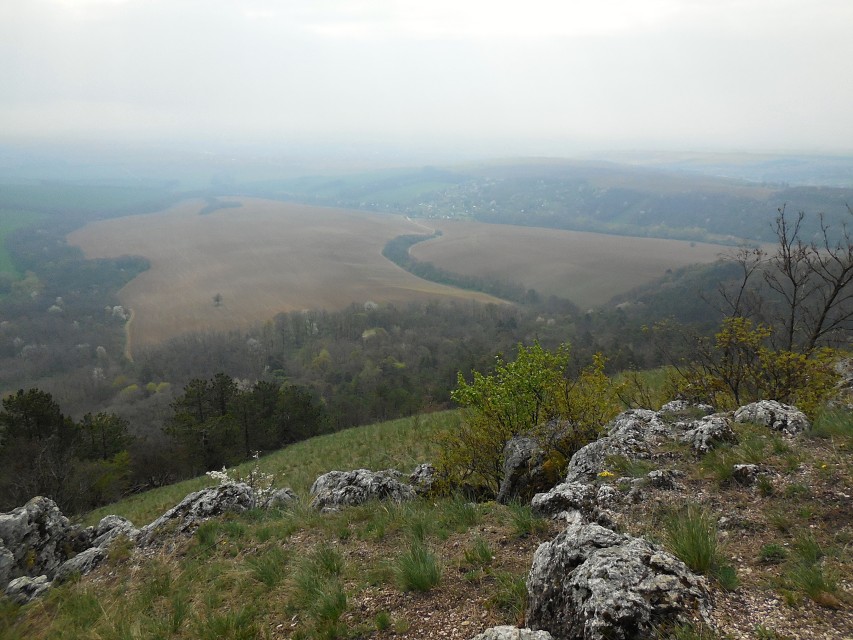 img00030.jpg