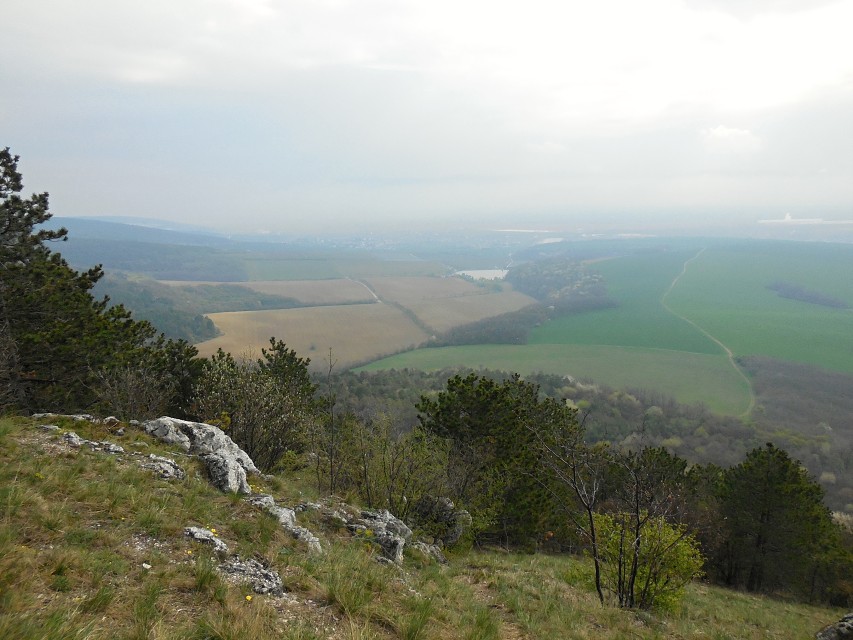 img00031.jpg