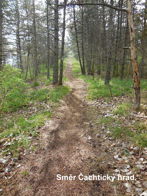 img00040.jpg