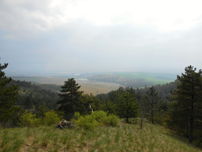 img00043.jpg