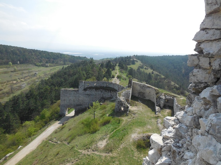 img00062.jpg