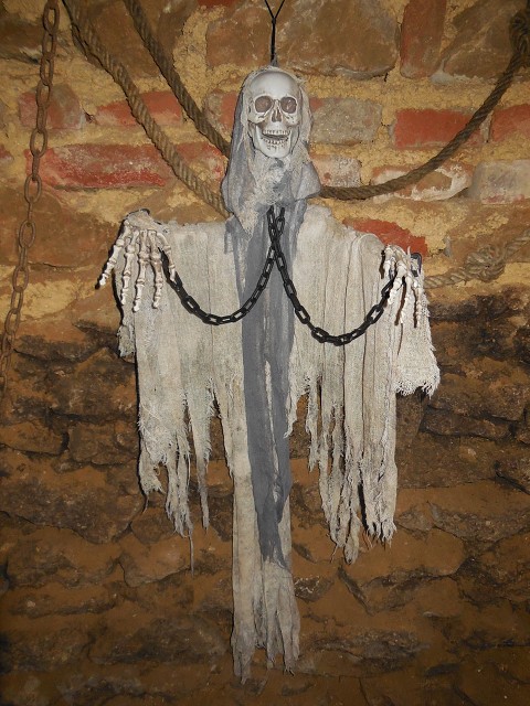 img00072.jpg