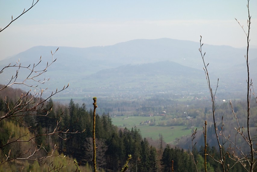 img00017.jpg