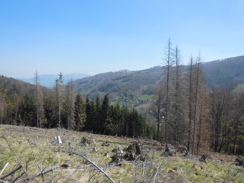 img00031.jpg