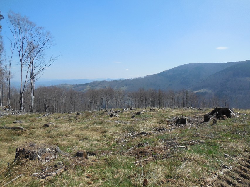 img00036.jpg