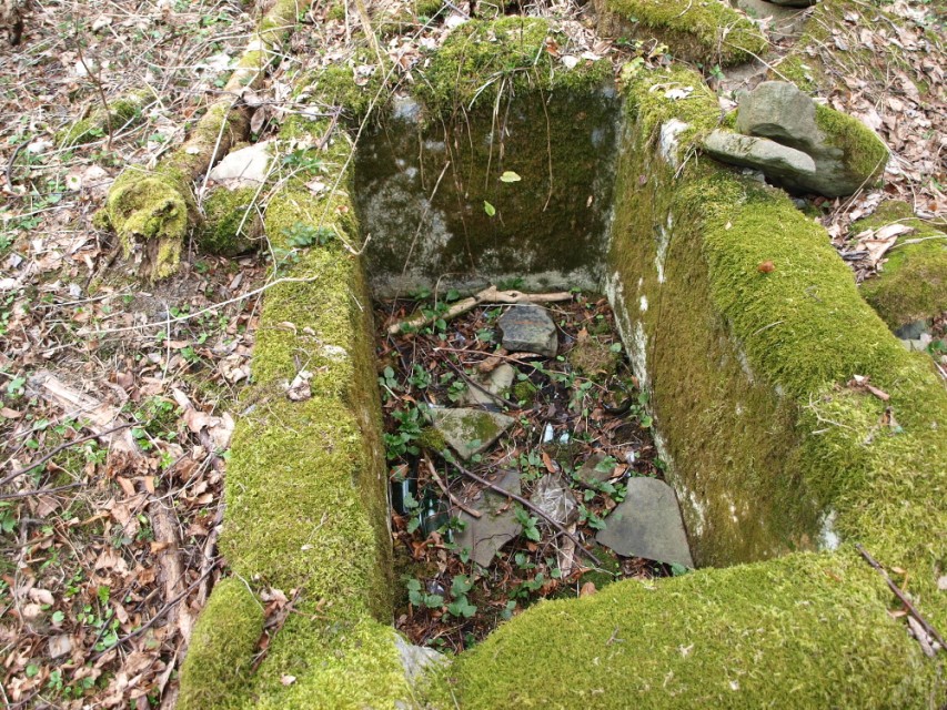 img00056.jpg