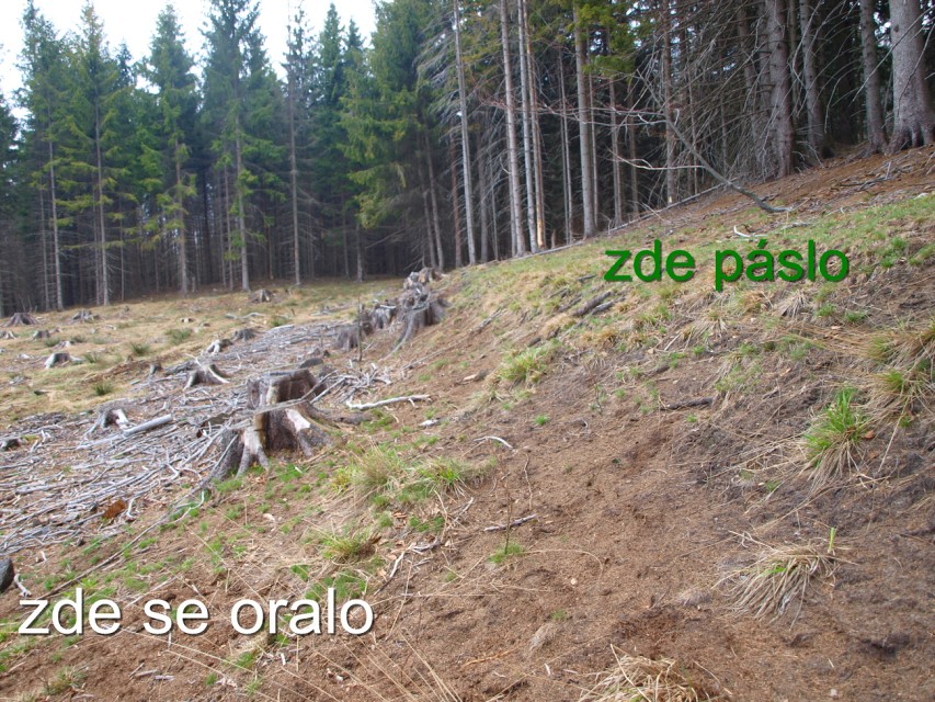 img00063.jpg