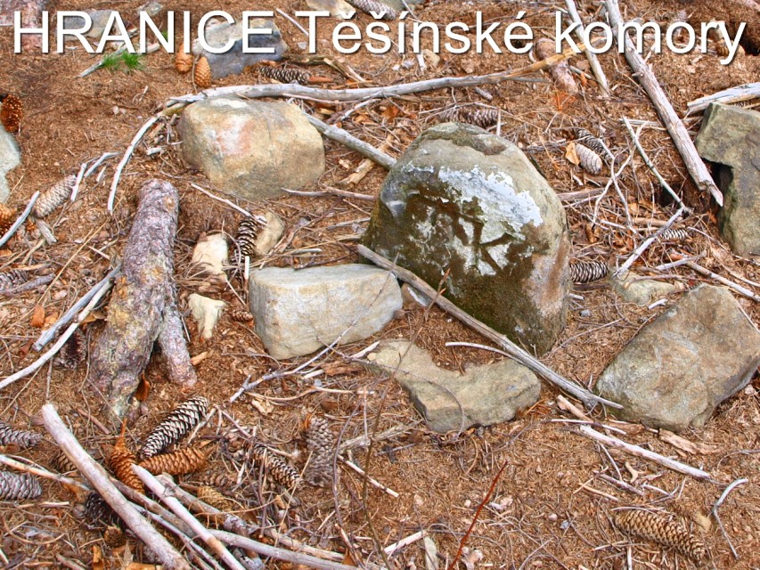 img00064.jpg