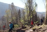 thn00024.jpg
