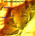 thn00066.jpg
