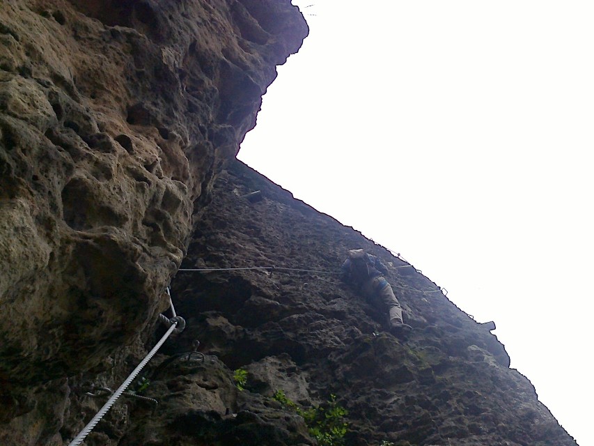 img00005.jpg