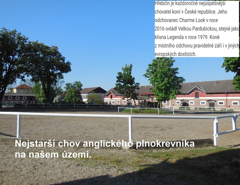 img00003.jpg
