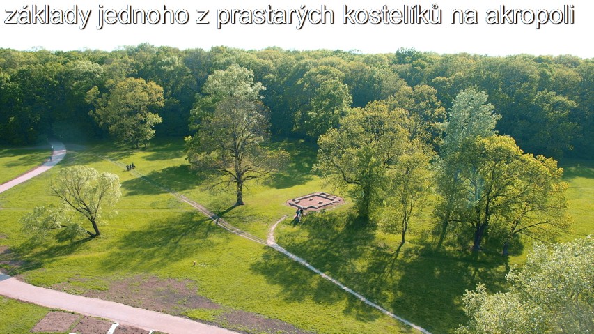 img00104.jpg